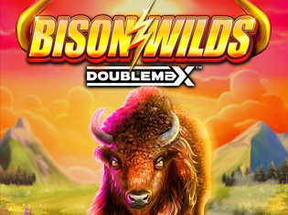 Bison Wilds